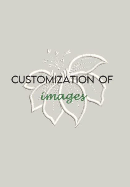 IMAGE DIGITIZATION