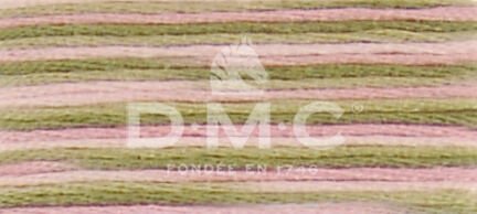 DMC Mouliné Coloris 4500 – Ancolie des jardins – 6‑Strand Cotton Multicolour Embroidery Floss – 8 m - Image 2