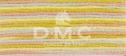 DMC Mouliné Coloris 4508 – Campagne givrée – 6‑Strand Cotton Multicolour Embroidery Floss – 8 m - Image 2