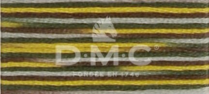 DMC Mouliné Coloris 4521 – Grands Espaces – 6‑Strand Cotton Multicolour Embroidery Floss – 8 m - Image 2