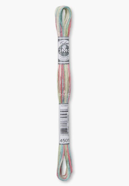 DMC Mouliné Coloris 4501 – Fleurs des champs – 6‑Strand Cotton Multicolour Embroidery Floss – 8 m