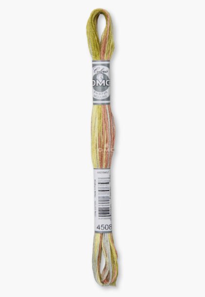 DMC Mouliné Coloris 4508 – Campagne givrée – 6‑Strand Cotton Multicolour Embroidery Floss – 8 m