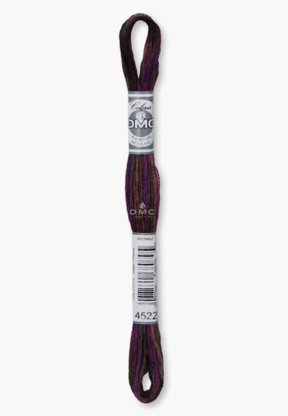 DMC Mouliné Coloris 4522 – Nuit canadienne – 6‑Strand Cotton Multicolour Embroidery Floss – 8 m