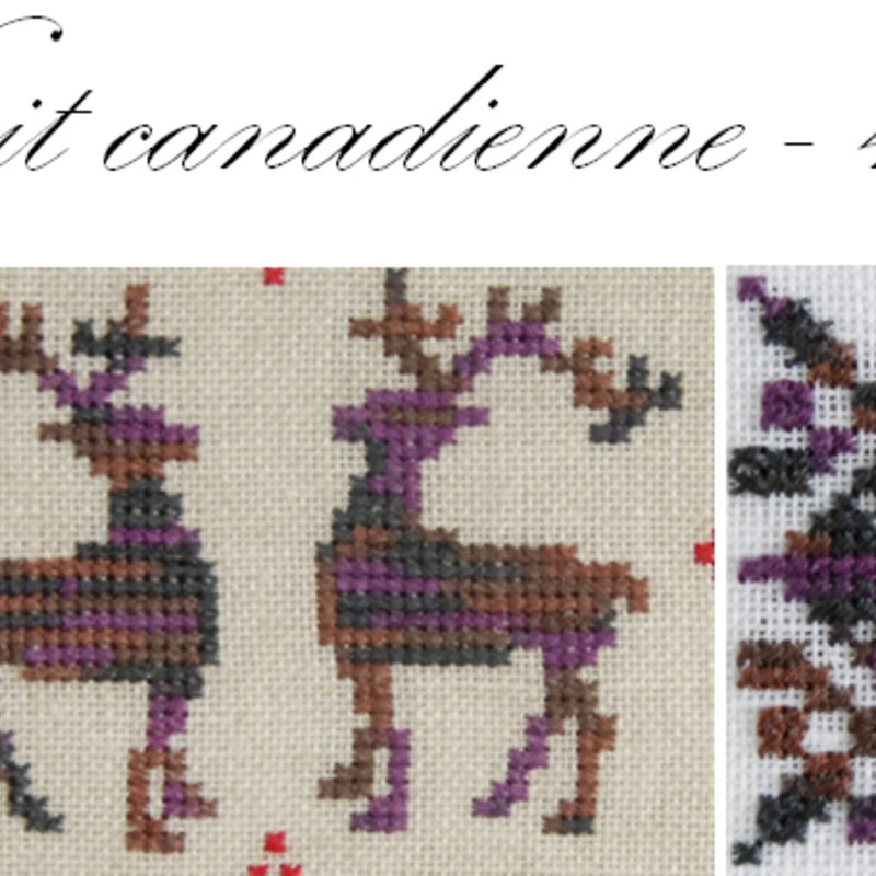 DMC Mouliné Coloris 4522 – Nuit canadienne – 6‑Strand Cotton Multicolour Embroidery Floss – 8 m - Image 2