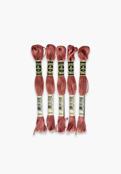 DMC Mouliné Spécial 117 – Nr. 3859 Set – 5 Embroidery Skeins