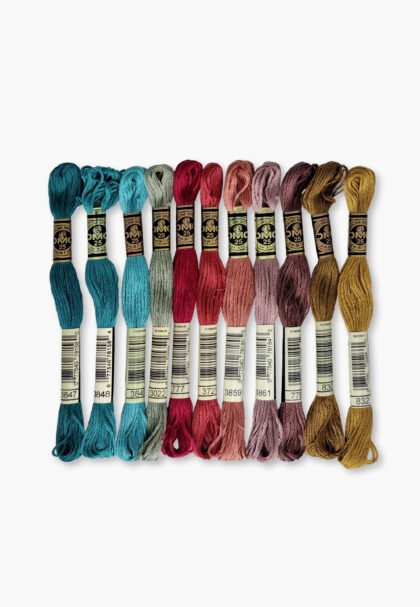 DMC Mouliné Spécial 117 – Phoenix Feather Set – 11 Embroidery Skeins