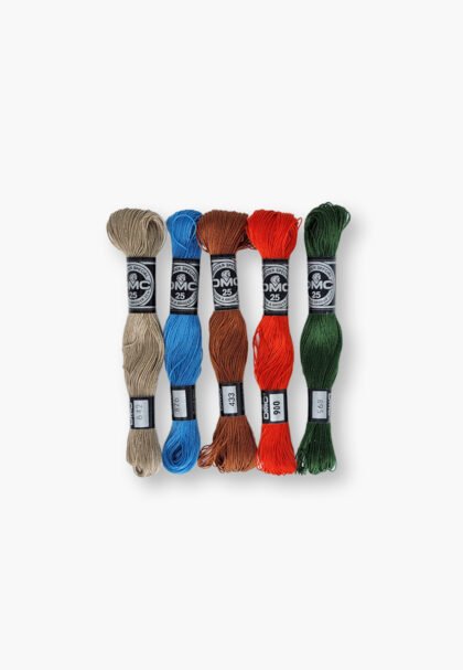 DMC Cotton à Broder 25 – Savannah Hunter Set – 5 Embroidery Skeins
