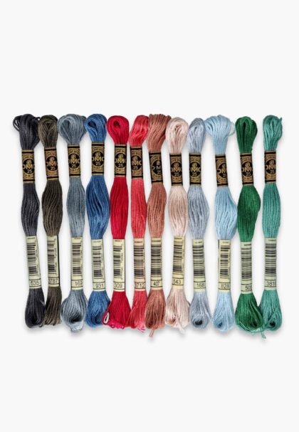 DMC Mouliné Spécial 117 – Urban Set – 12 Embroidery Skeins
