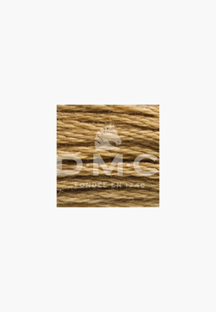 DMC Mouliné Spécial 117MC – Color 3828 – 100% Cotton – 8m Skein - Image 2