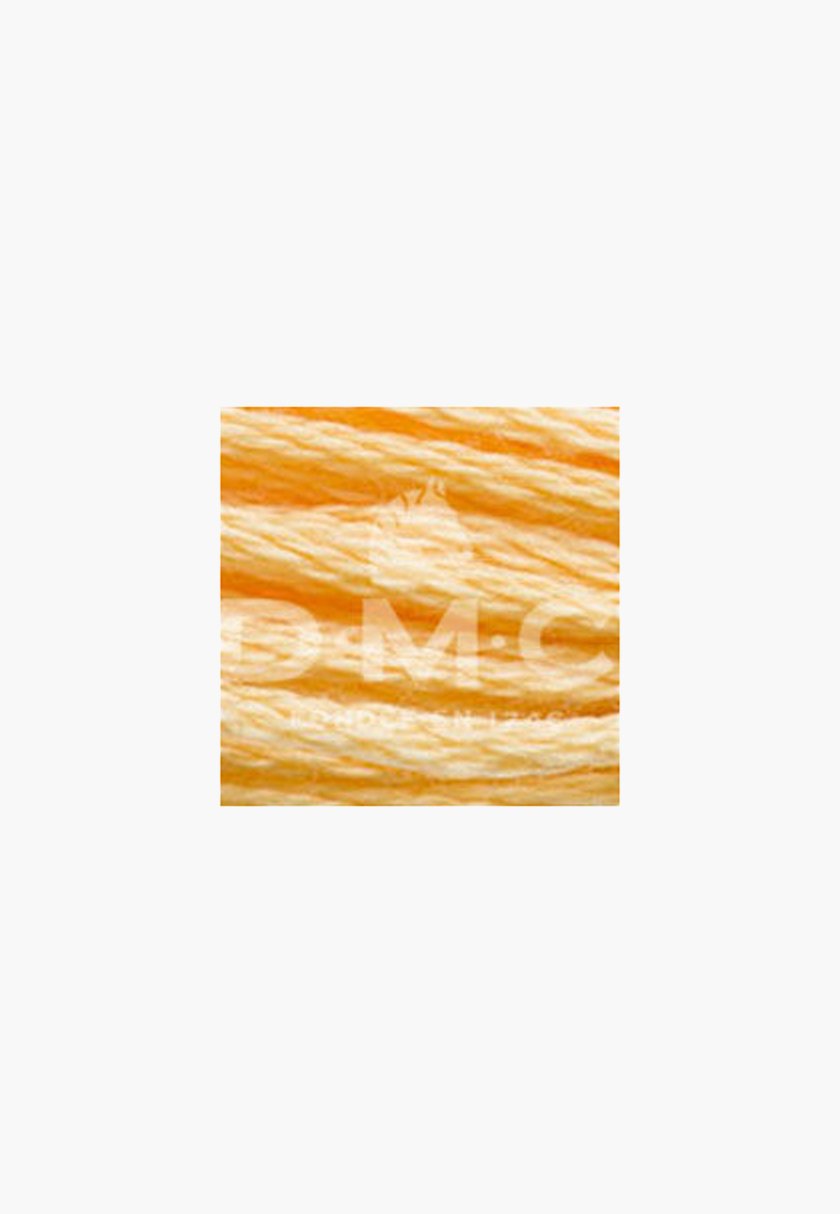 DMC Mouliné Spécial 117MC – Color 3855 – 100% Cotton – 8m Skein - Image 2