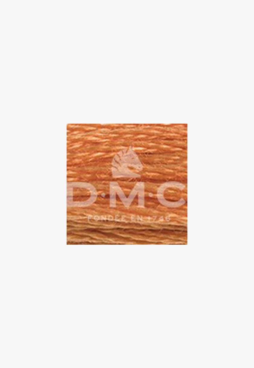 DMC Mouliné Spécial 117MC – Color 721 – 100% Cotton – 8m Skein - Image 2