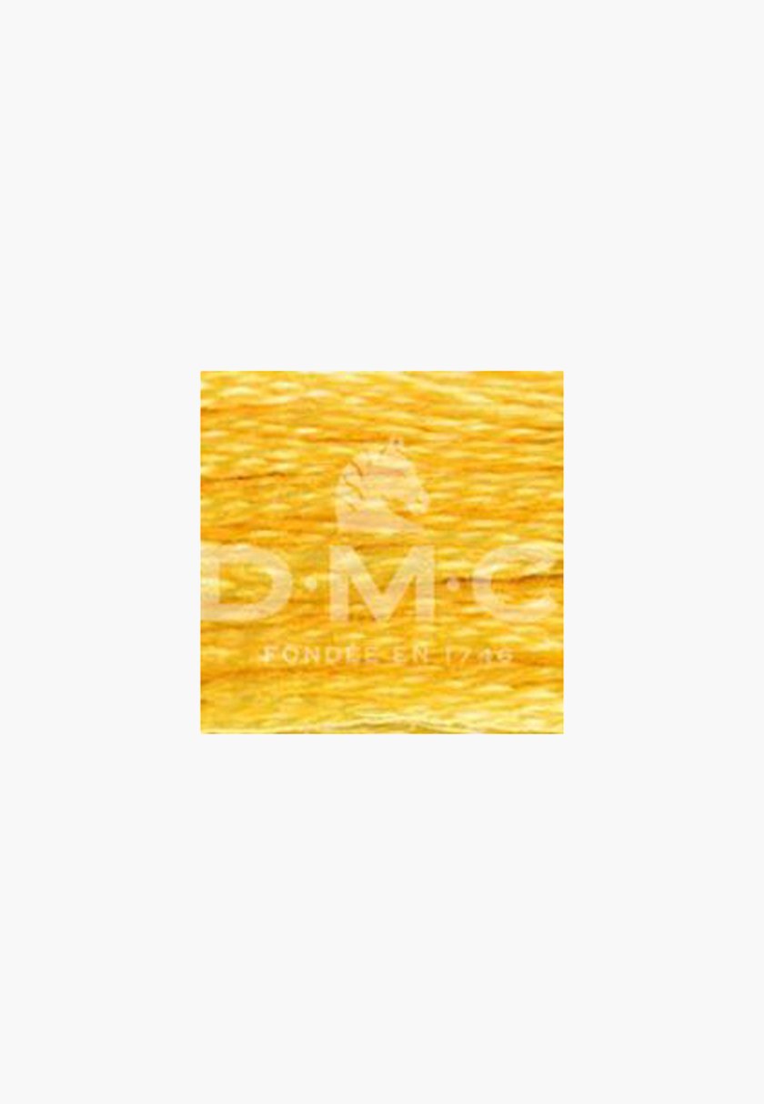 DMC Mouliné Spécial 117MC – Color 725 – 100% Cotton – 8m Skein - Image 2