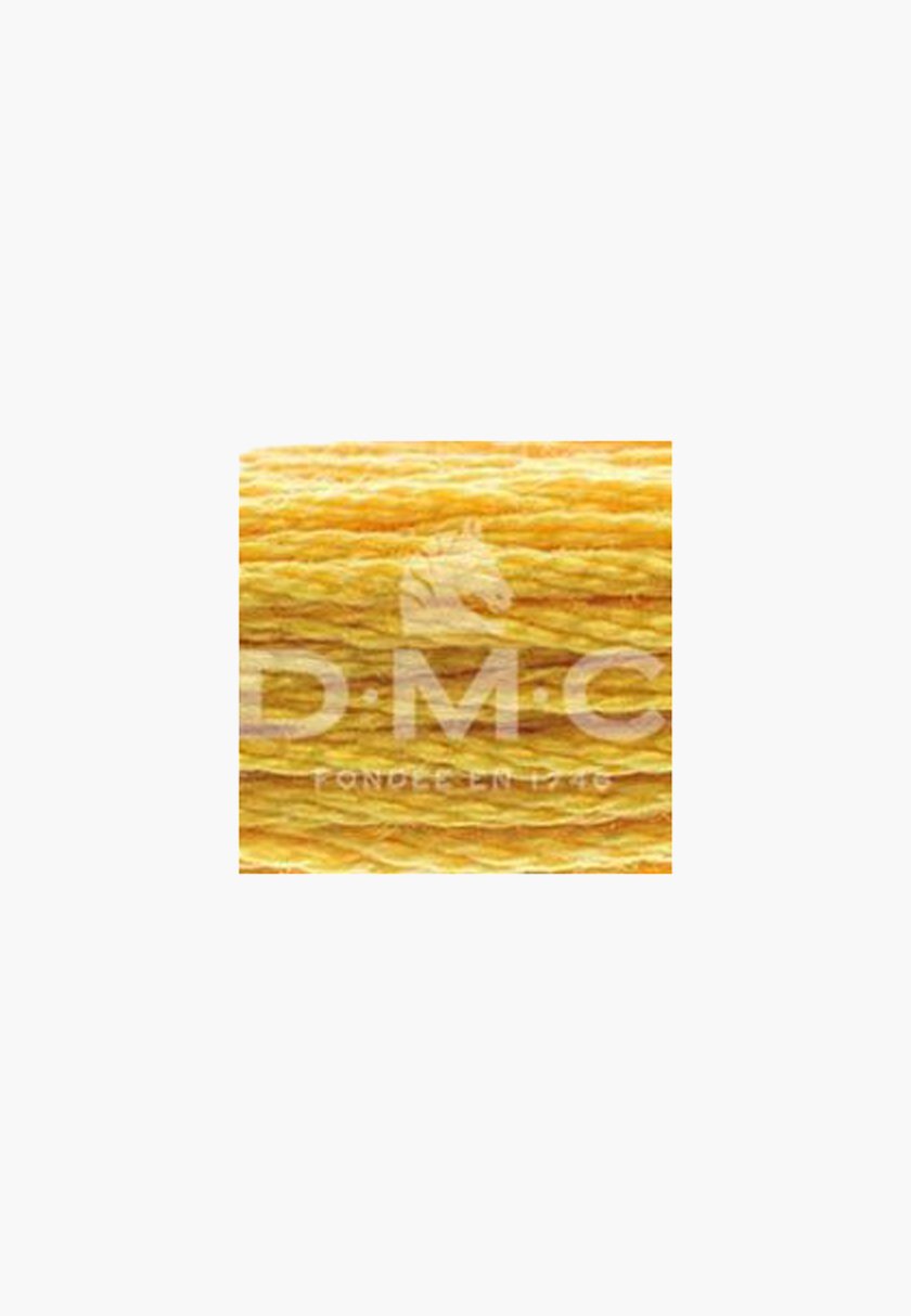 DMC Mouliné Spécial 117MC – Color 728 – 100% Cotton – 8m Skein - Image 2