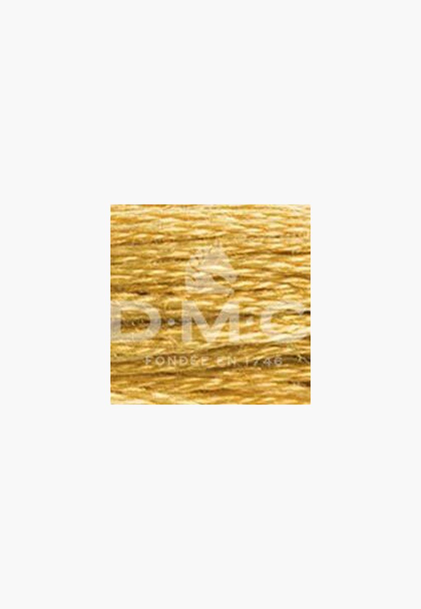 DMC Mouliné Spécial 117MC – Color 729 – 100% Cotton – 8m Skein - Image 2