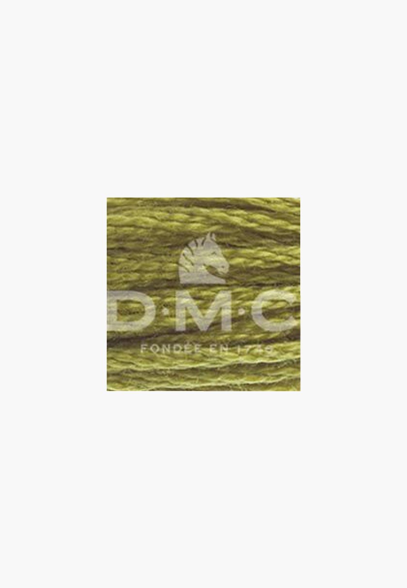 DMC Mouliné Spécial 117MC – Color 733 – 100% Cotton – 8m Skein - Image 2