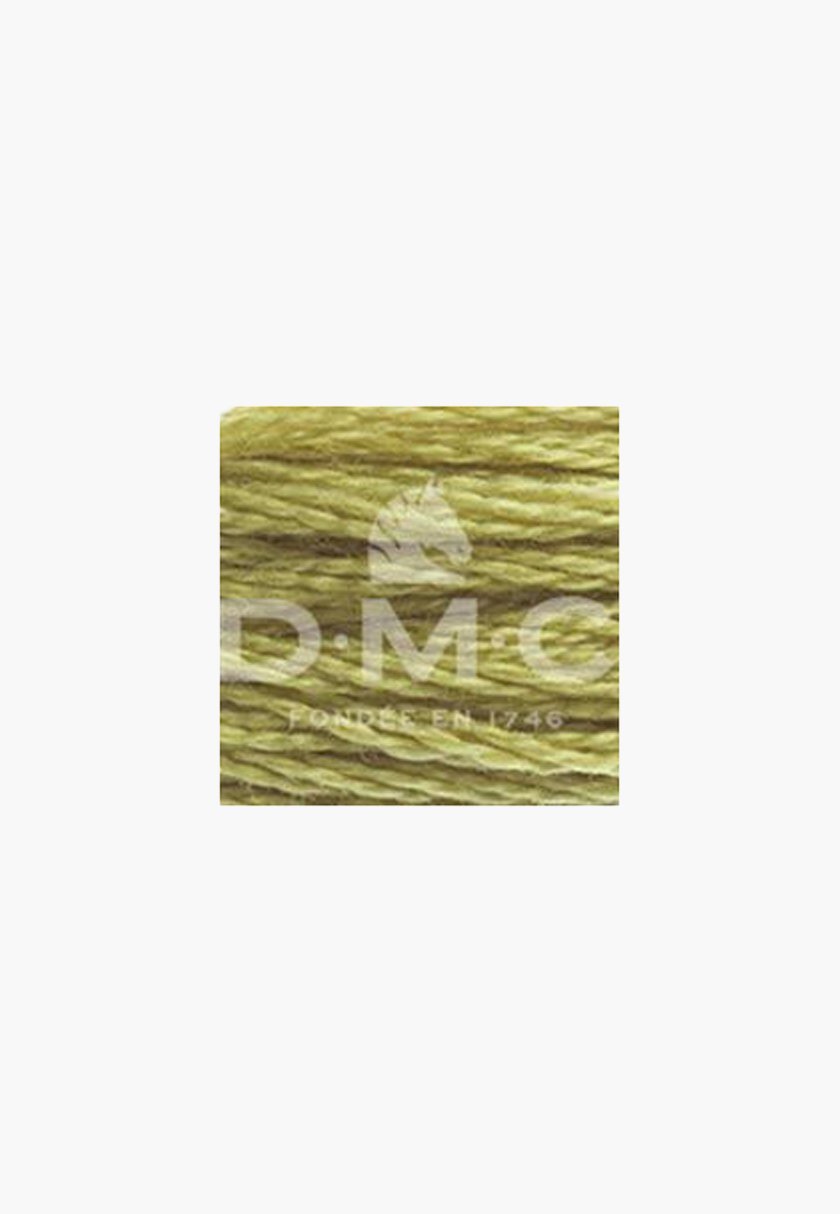 DMC Mouliné Spécial 117MC – Color 734 – 100% Cotton – 8m Skein - Image 2